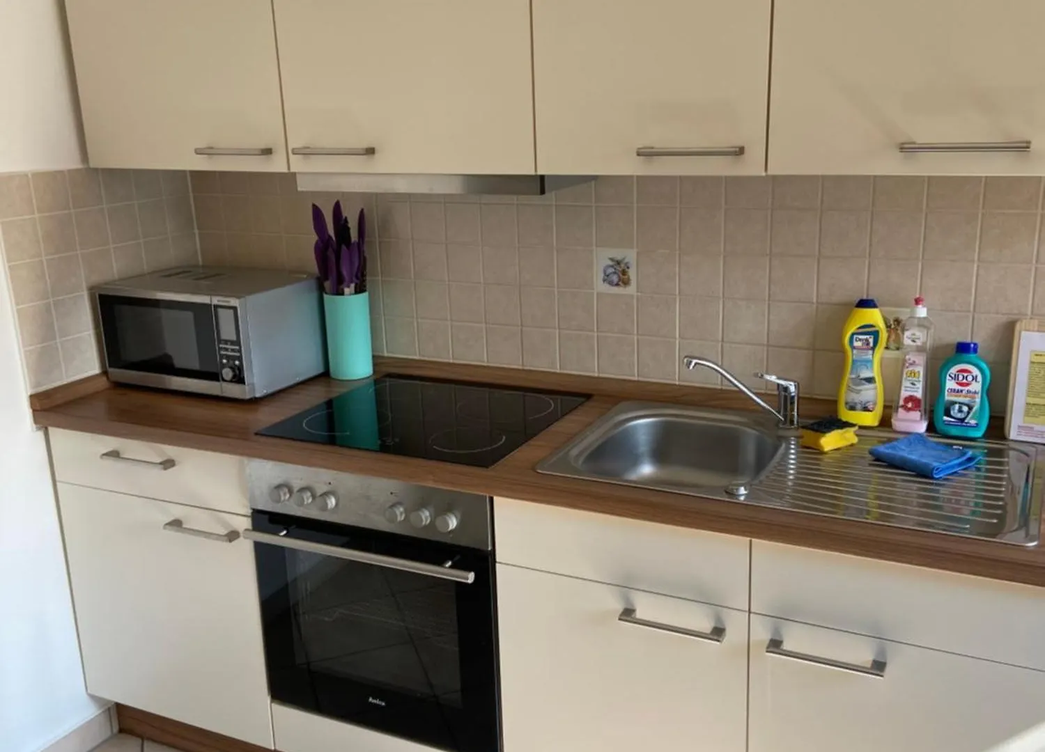Apartament Ferienwohnungen Rehn Drezno